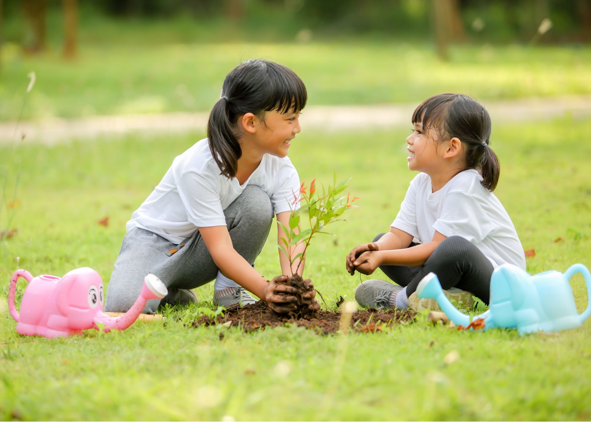Two Asian girls planting a tree together.