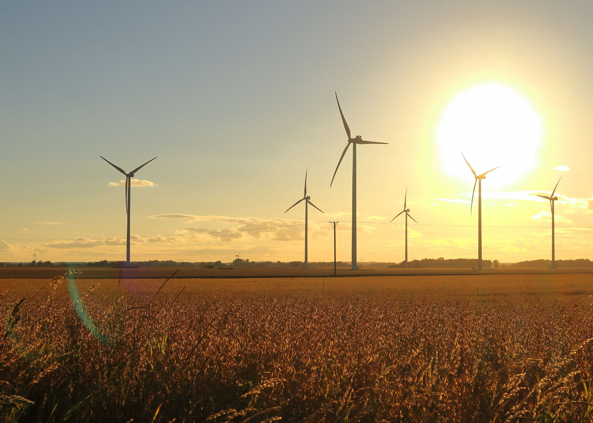 Swedish countryside with wind power turbines.